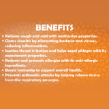 Kofrox Syrup Combo For Dry Cough Management, Productive Cough Relief, Smokers Cough Support