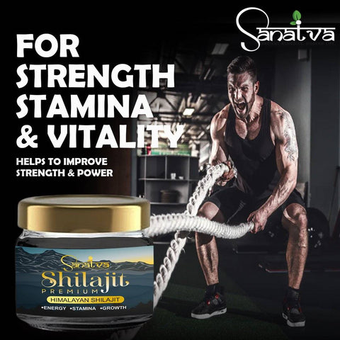 SHILAJIT PREMIUM - Pure Himalayan Shilajit - Sanatva Ayurvedic
