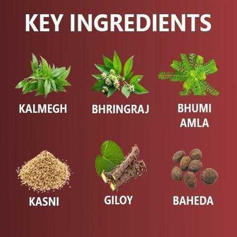 Livrax - DS Syrup For Liver Detoxification, Fatty Liver, and Indigestion - Sanatva Ayurvedic