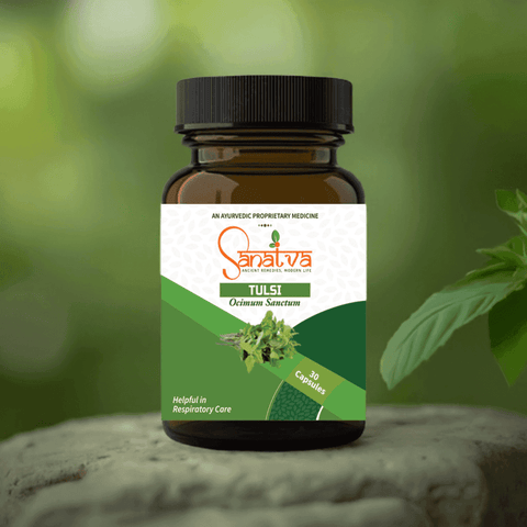 Tulsi Capsules for Immunity, Stress, Skin Health, Digestive Health and Regulates Blood Sugar Levels - Sanatva Ayurvedic