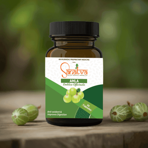 Amla Capsules for Hair Growth, Heart Health, Eye Health, Digestion, Skin Problems and Metabolism