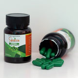 ayurvedic medicine for energy level